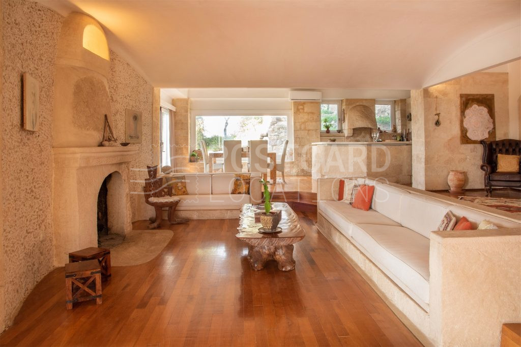Artist’s villa with rare decor
