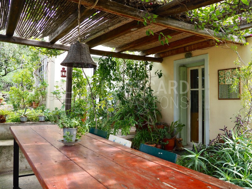 Artist’s house in nature