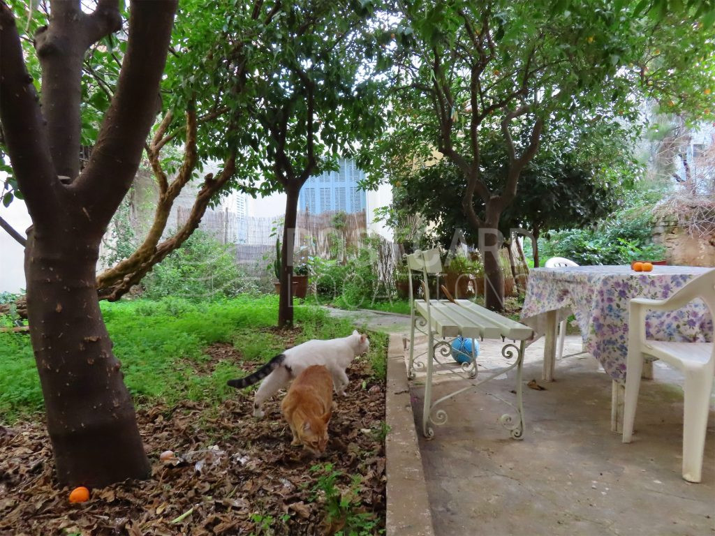 1930s neoclassical house with garden